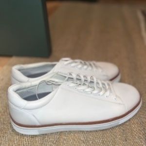 Wolverine Blvd - Men's Shoe